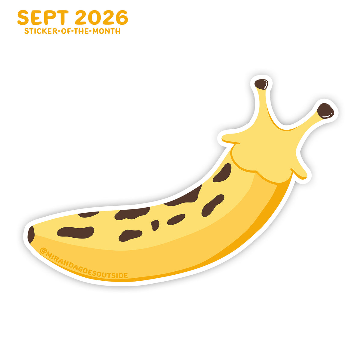 SEPT 2026: Banana Slug